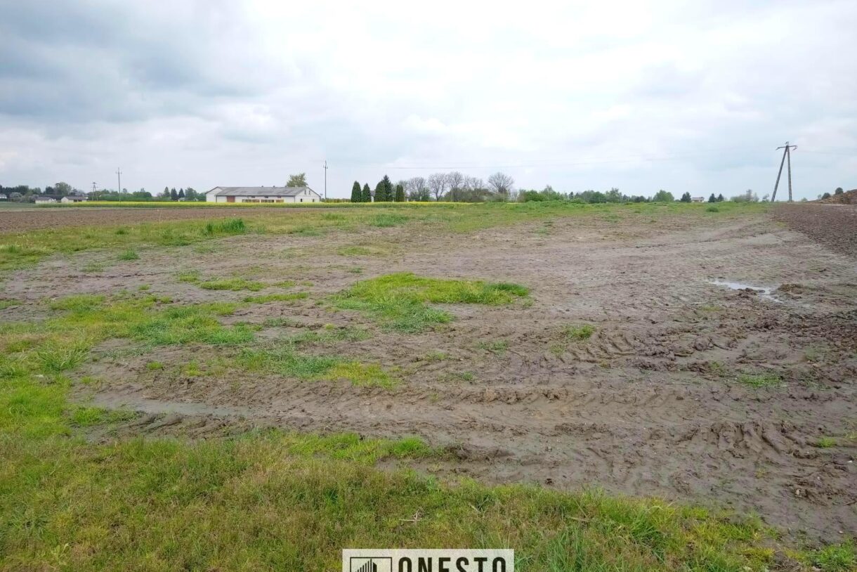 Działka na sprzedaż, Palikije Pierwsze, 2378m2