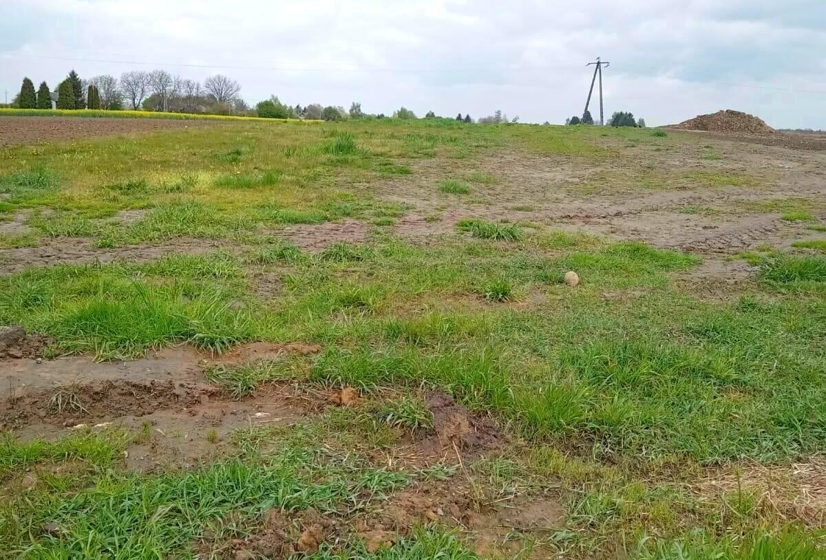 Działka na sprzedaż, Palikije Pierwsze, 2378m2