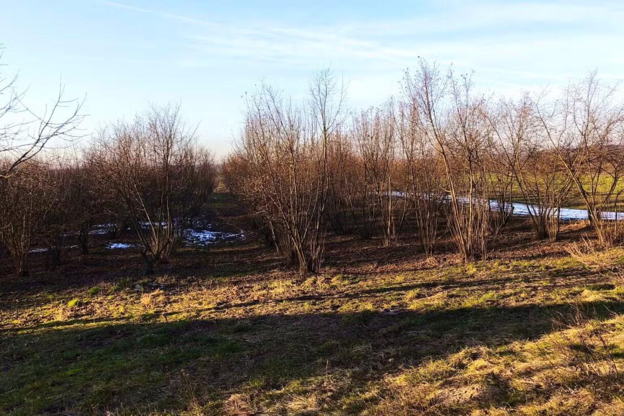 Dom na sprzedaż, Zezulin Niższy, 246m2