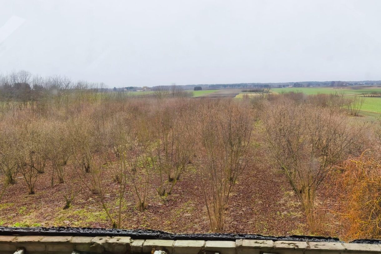 Dom na sprzedaż, Zezulin Niższy, 246m2