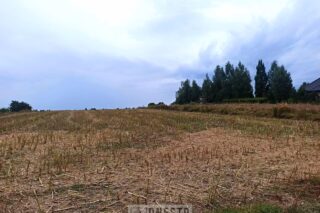 Działka na sprzedaż, Panieńszczyzna, 11007m2