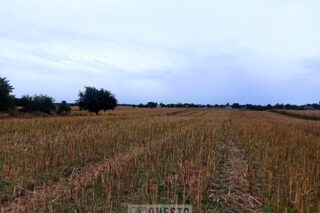 Działka na sprzedaż, Panieńszczyzna, 11007m2