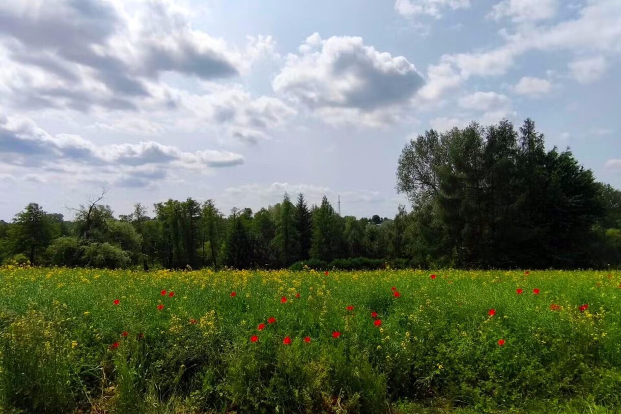 Działka na sprzedaż, Jastków, 3244m2