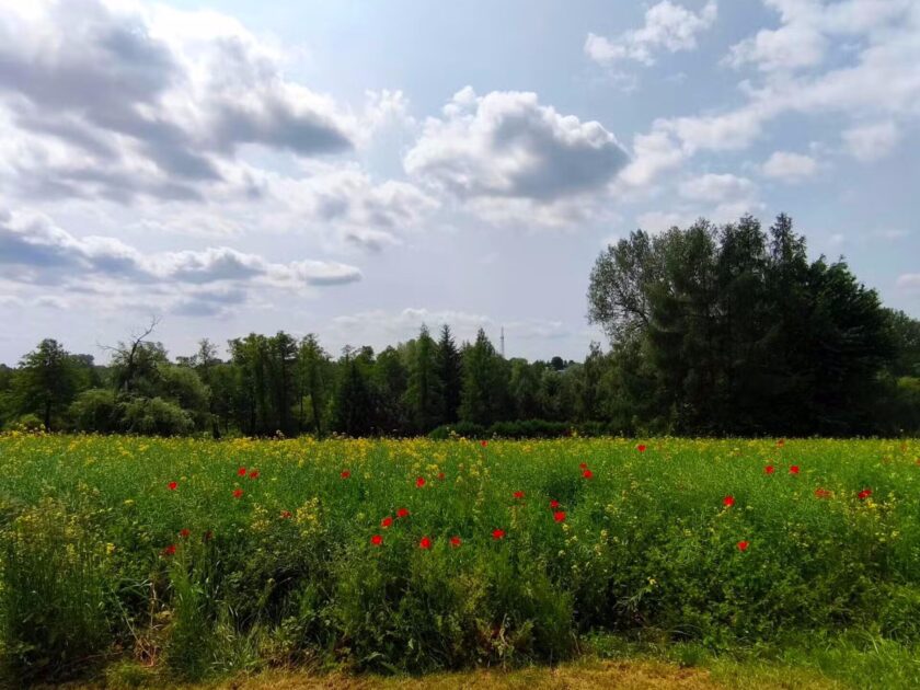 Działka na sprzedaż, Jastków, 3244m2