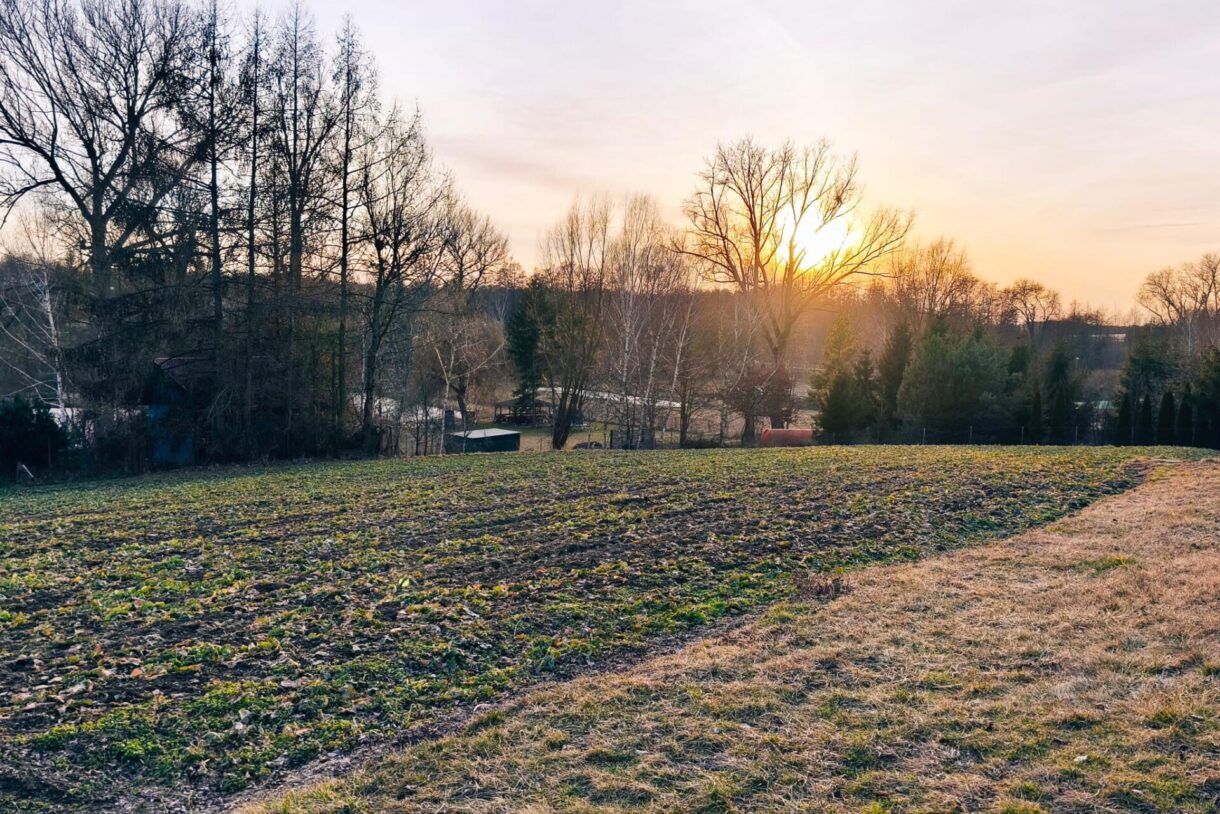 Działka na sprzedaż, Jastków, 3244m2