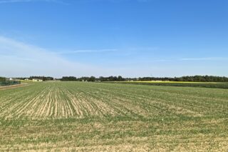 Działka na sprzedaż, Nasutów, 1000m2