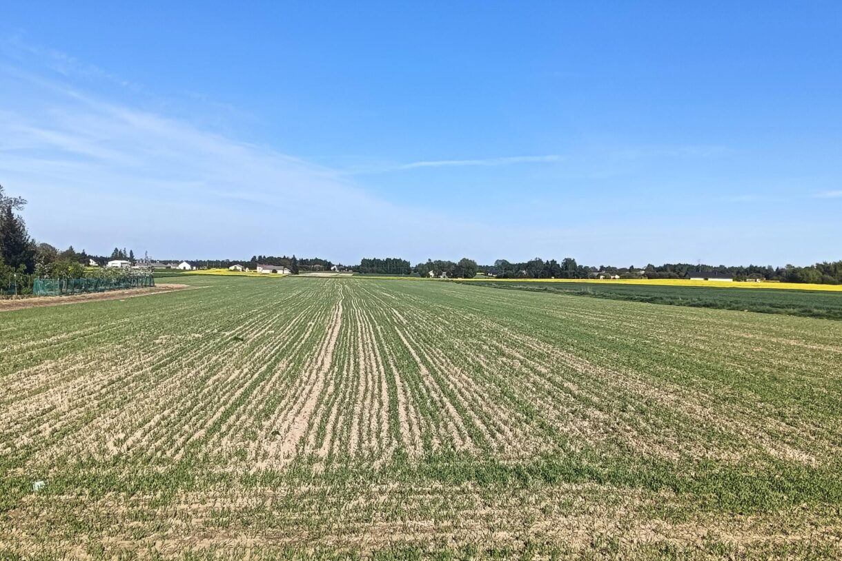 Działka na sprzedaż, Nasutów, 1000m2