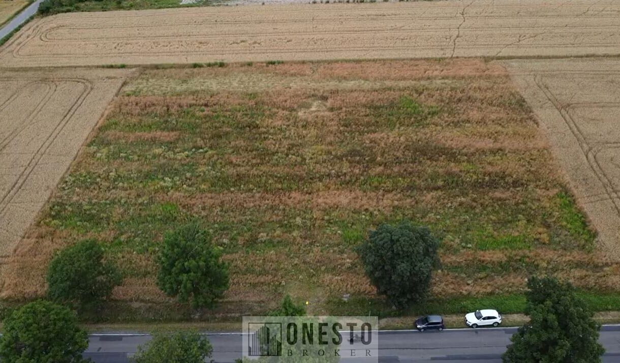 Działka na sprzedaż, Nowy Staw, 1000m2