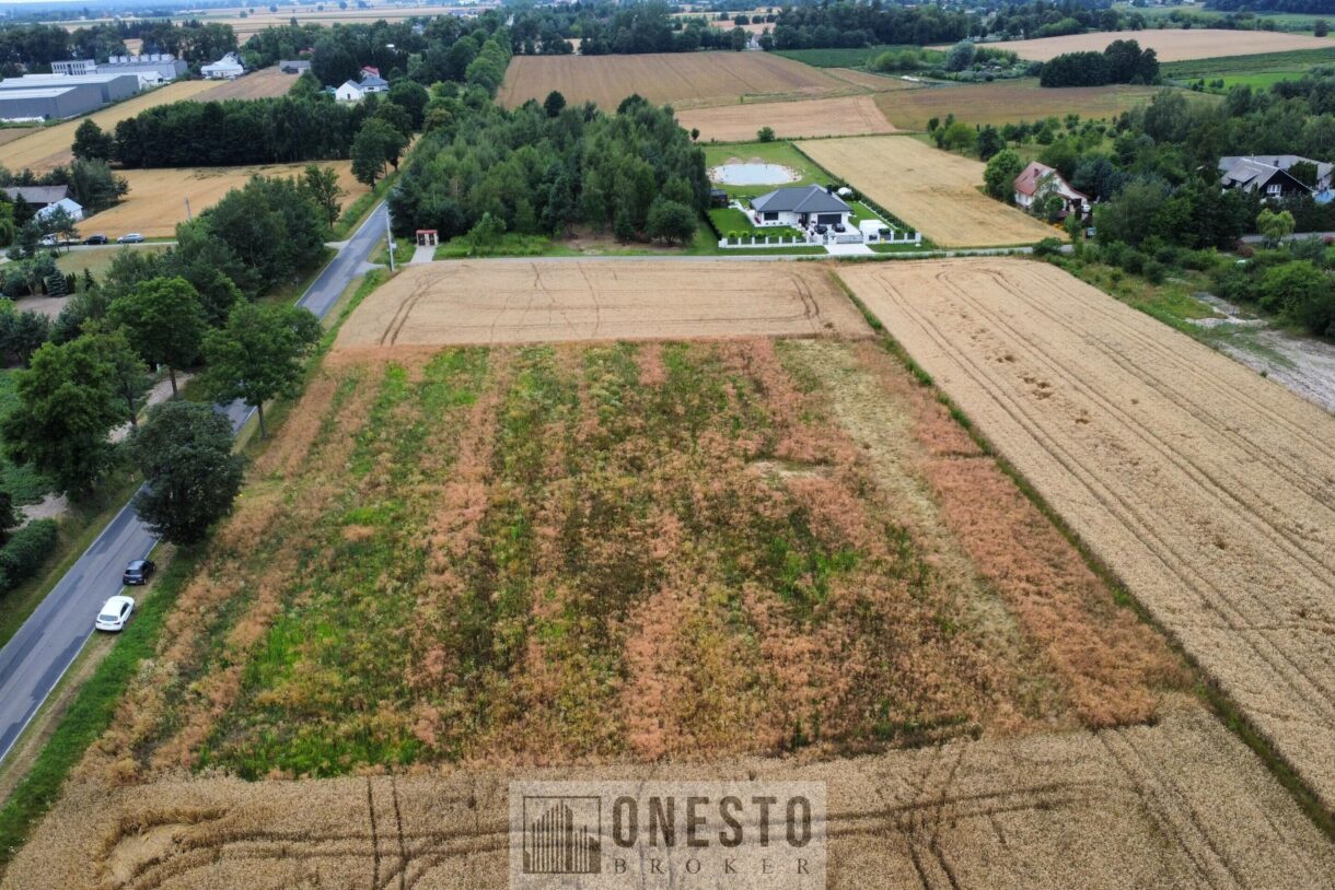 Działka na sprzedaż, Nowy Staw, 1000m2
