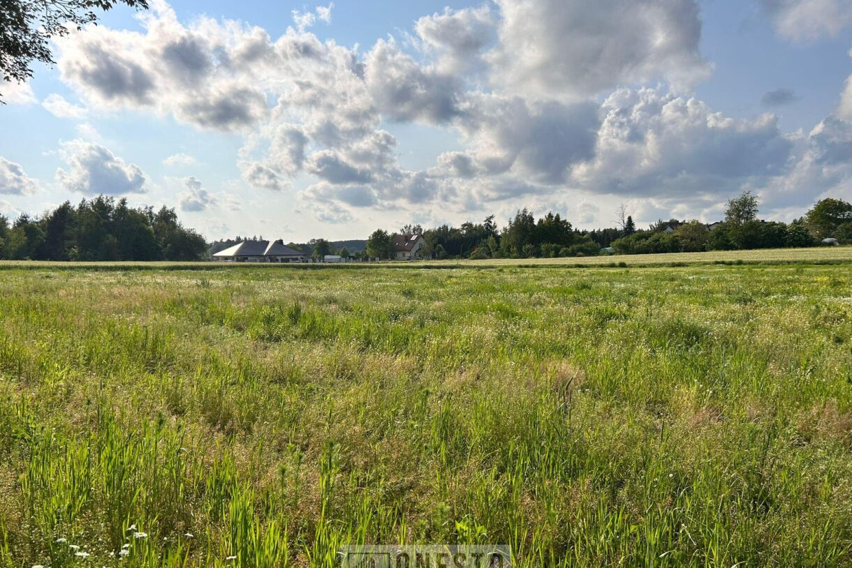 Działka na sprzedaż, Nowy Staw, 1000m2