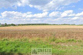 Działka na sprzedaż, Nowy Staw, 1000m2