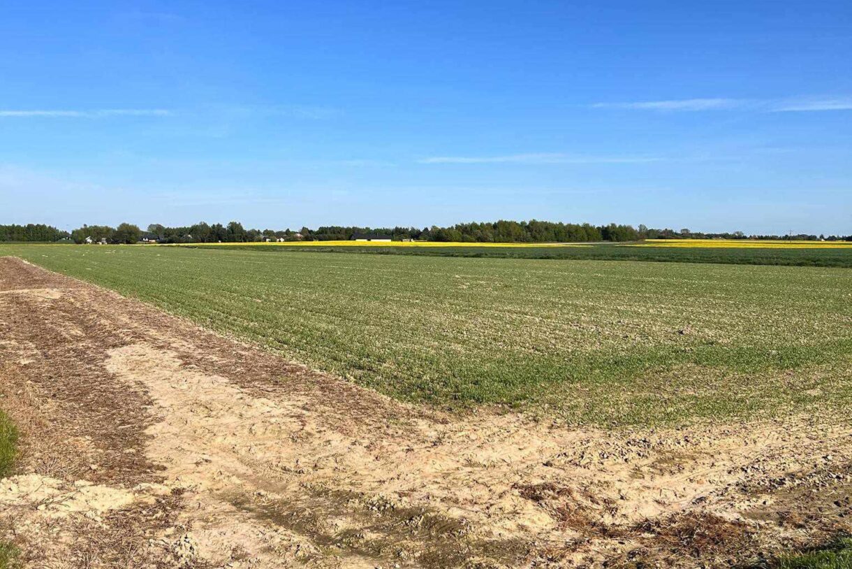 Działka na sprzedaż, Nasutów, 1101m2