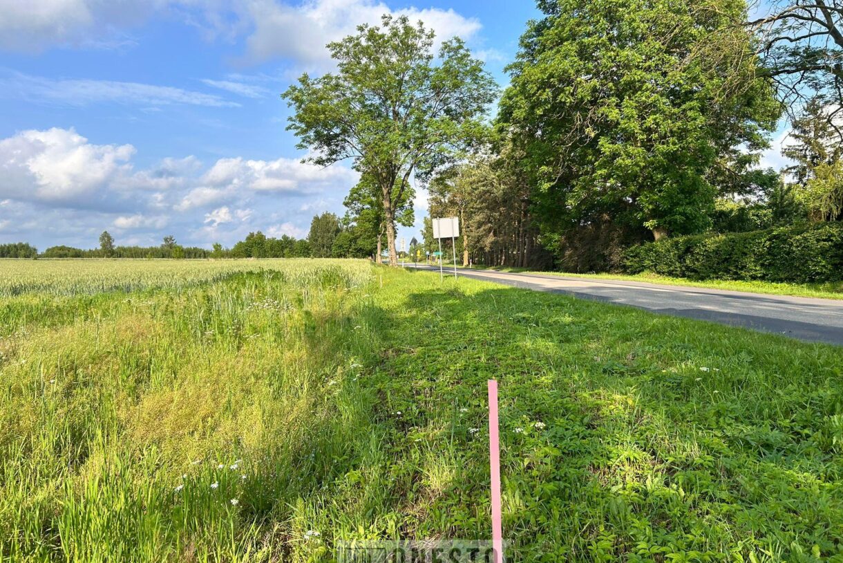 Działka na sprzedaż, Nowy Staw, 1109m2