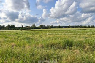 Działka na sprzedaż, Nowy Staw, 1000m2