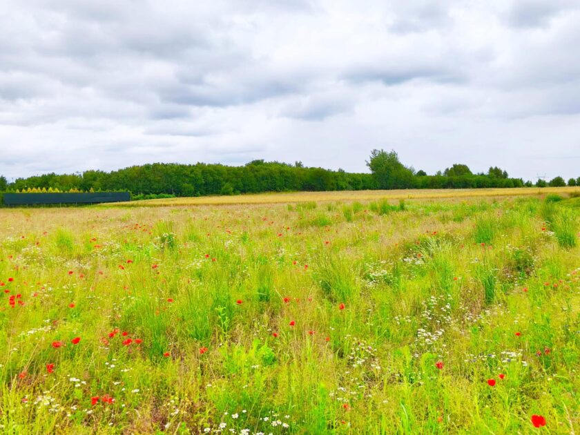 Działka na sprzedaż, Tomaszowice, 1855m2