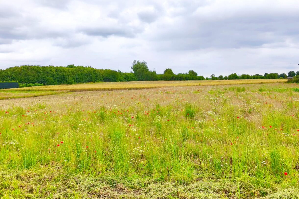 Działka na sprzedaż, Tomaszowice, 1855m2