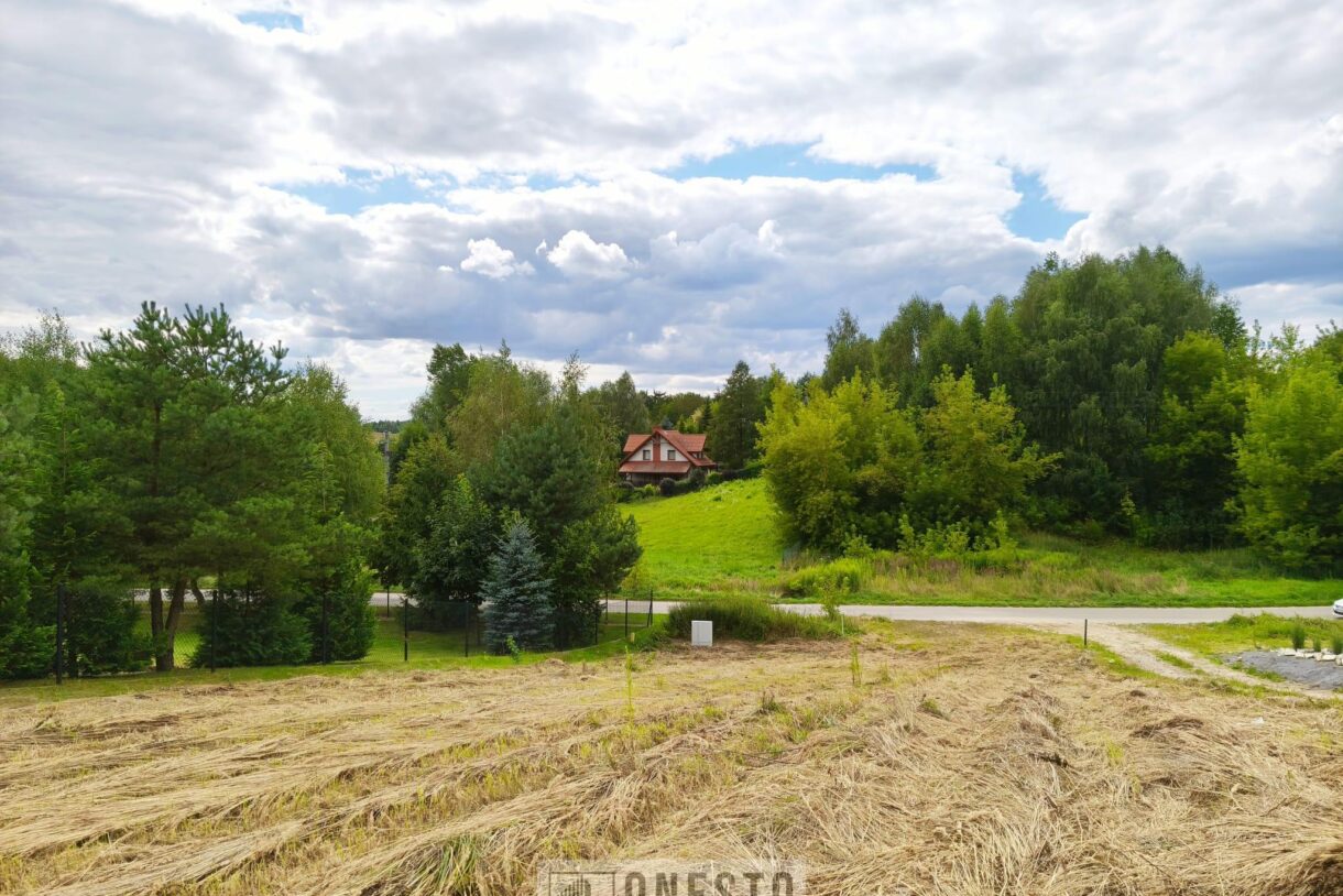 Działka na sprzedaż, Dąbrowica, 1520m2