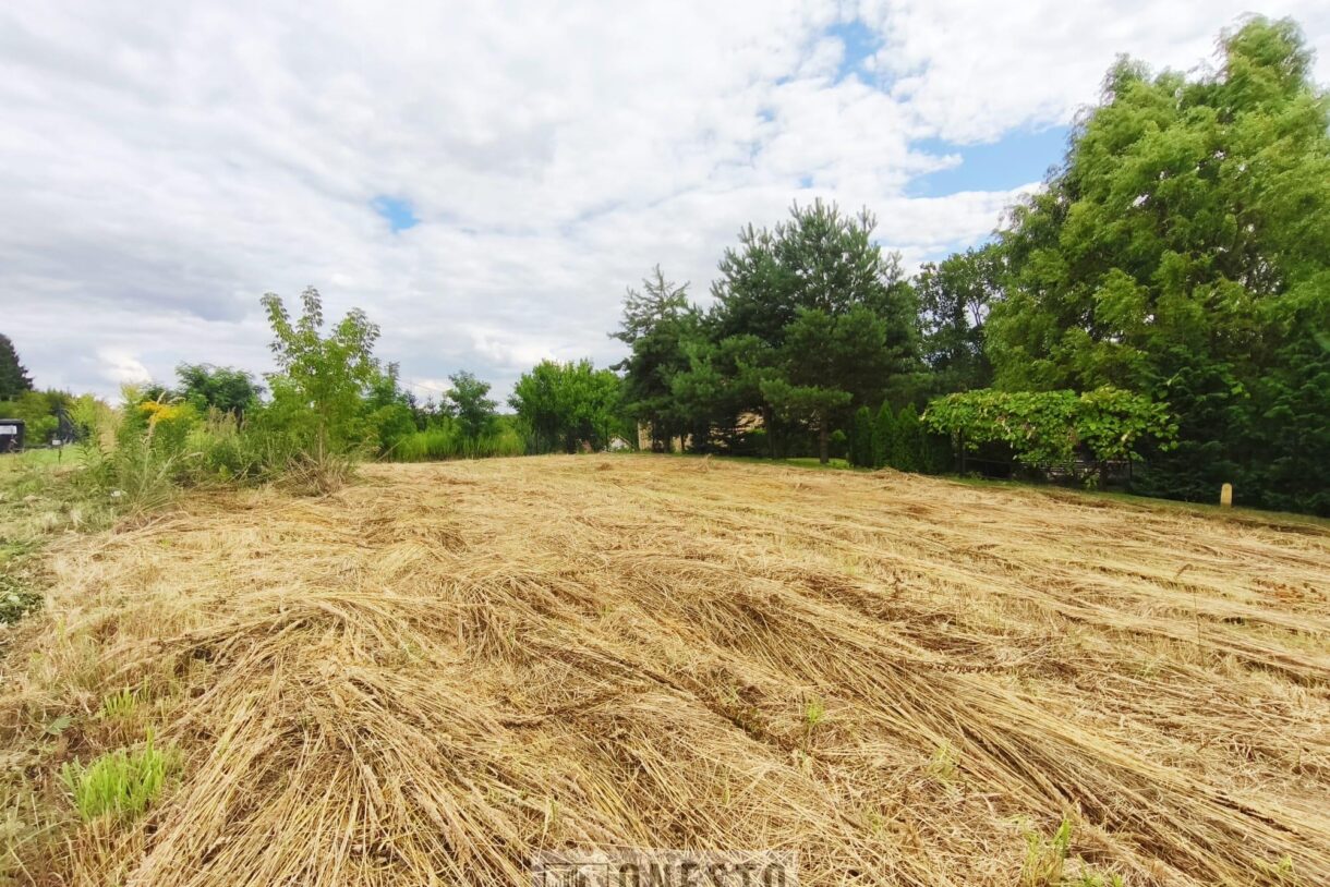 Działka na sprzedaż, Dąbrowica, 1520m2