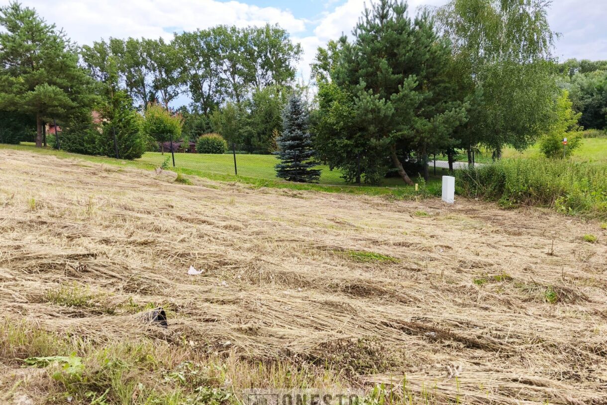 Działka na sprzedaż, Dąbrowica, 1520m2