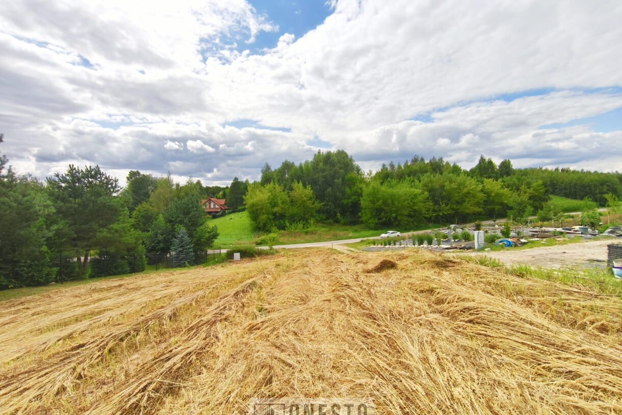 Działka na sprzedaż, Dąbrowica, 1520m2