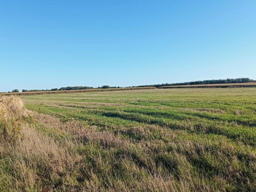 Działka na sprzedaż, Rudka Kozłowiecka, 1800m2