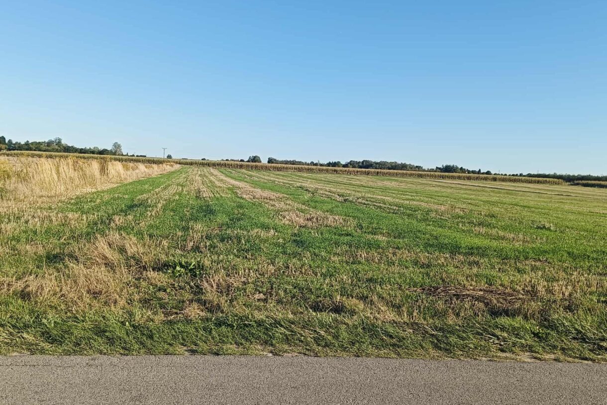 Działka na sprzedaż, Rudka Kozłowiecka, 1800m2