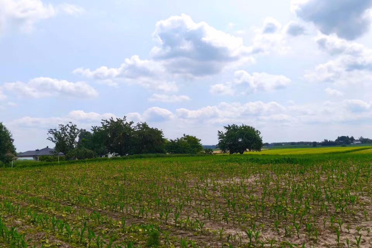 Działka na sprzedaż, Panieńszczyzna, 3027m2