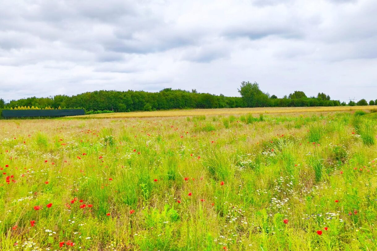 Działka na sprzedaż, Tomaszowice, 1855m2