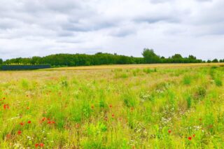 Działka na sprzedaż, Tomaszowice, 1855m2