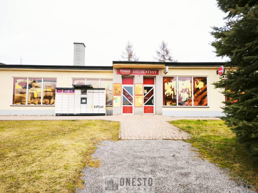 Lokal na sprzedaż, Janów Lubelski, 312m2