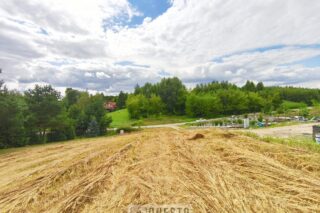 Działka na sprzedaż, Dąbrowica, 1520m2
