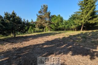 Działka na sprzedaż, Dys, 1401m2