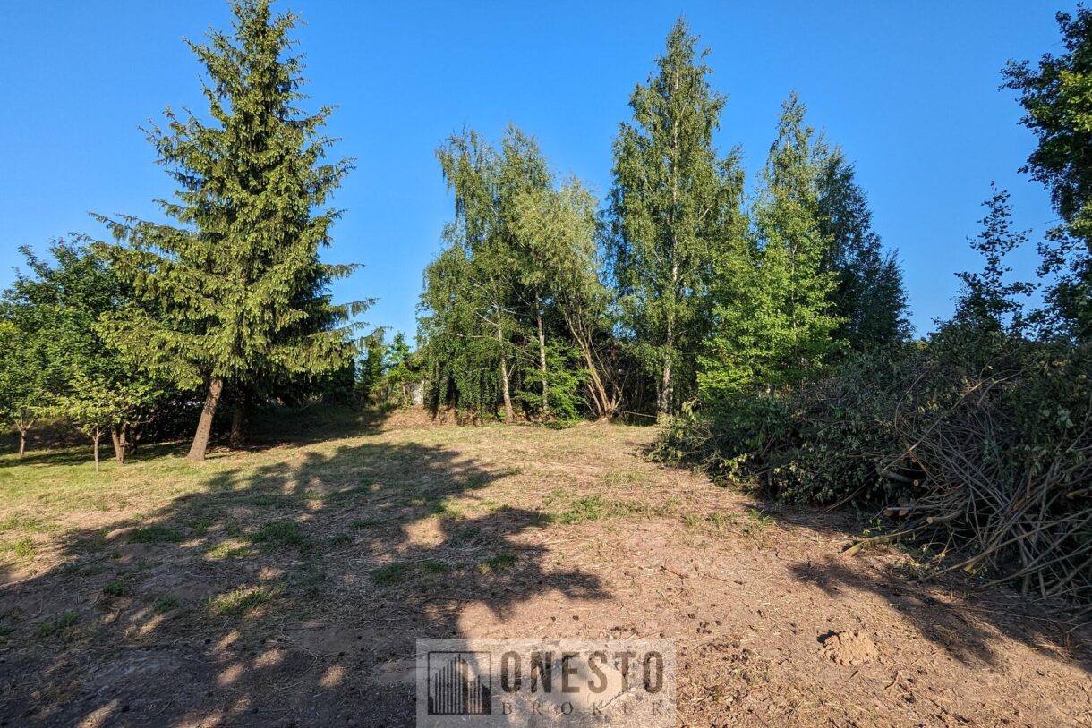 Działka na sprzedaż, Dys, 1401m2