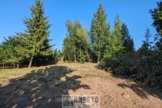 Działka na sprzedaż, Dys, 1401m2