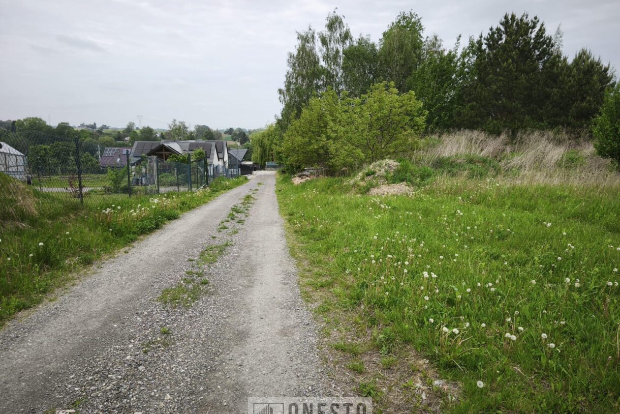 Działka na sprzedaż, Dys, 1401m2