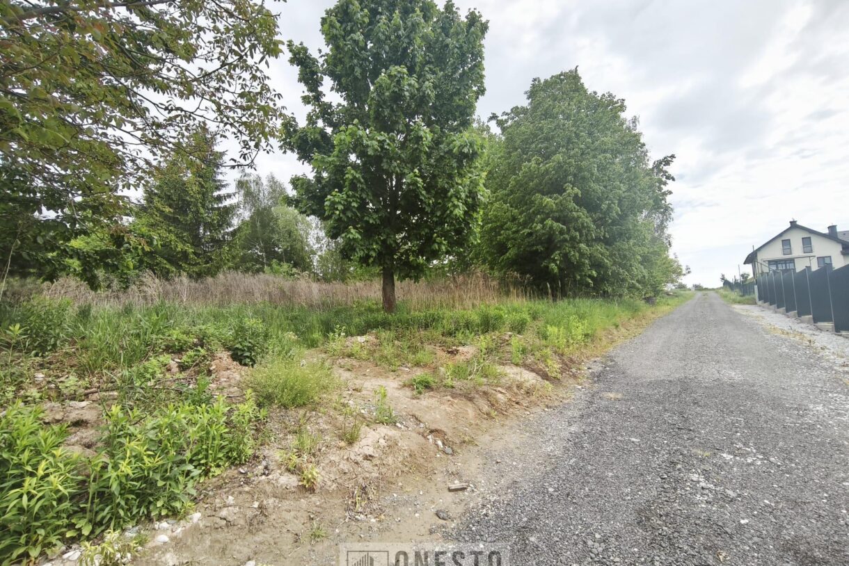 Działka na sprzedaż, Dys, 1401m2