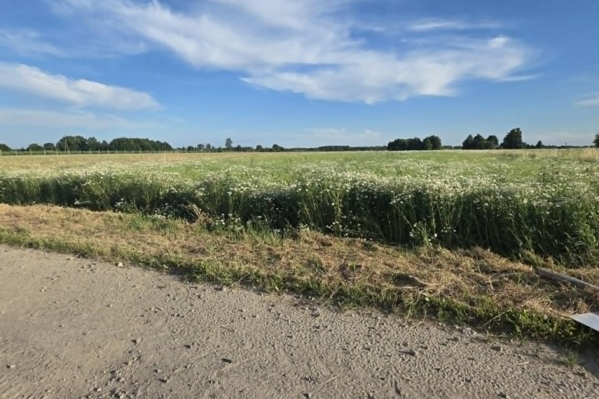 Działka na sprzedaż, Siedliska, 3047m2