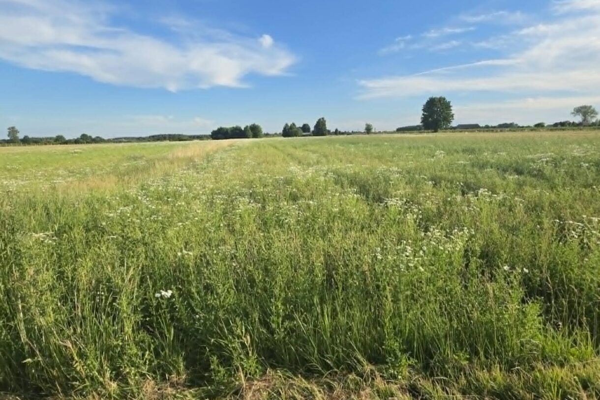 Działka na sprzedaż, Siedliska, 3047m2