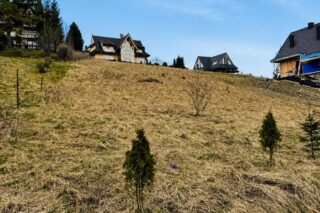 Działka na sprzedaż, Kościelisko, 703m2