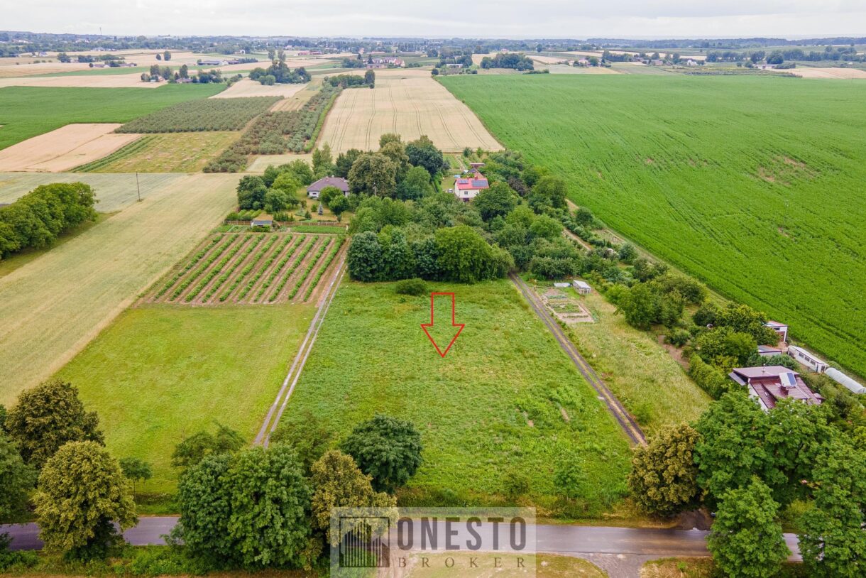 Działka na sprzedaż, Nałęczów, 6700m2