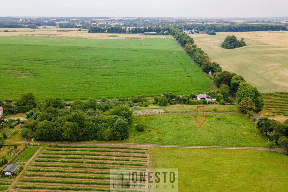 Działka na sprzedaż, Nałęczów, 6700m2