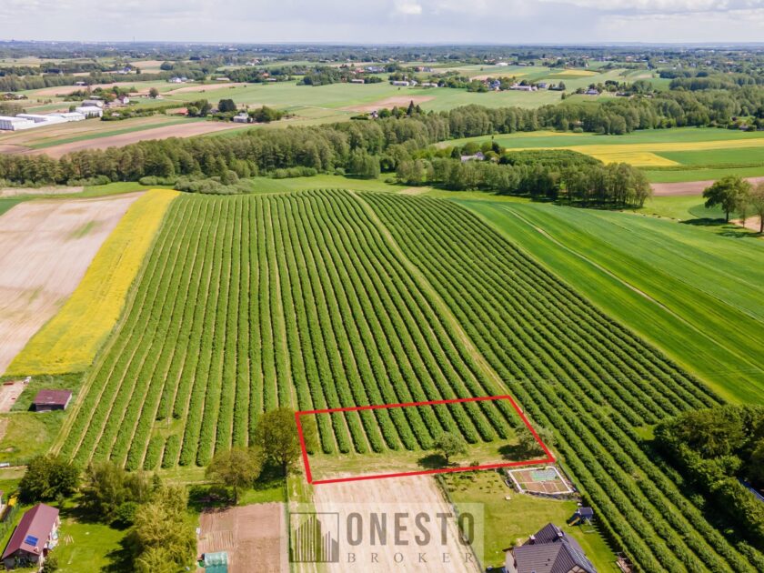 Działka na sprzedaż, Tomaszowice, 1804m2