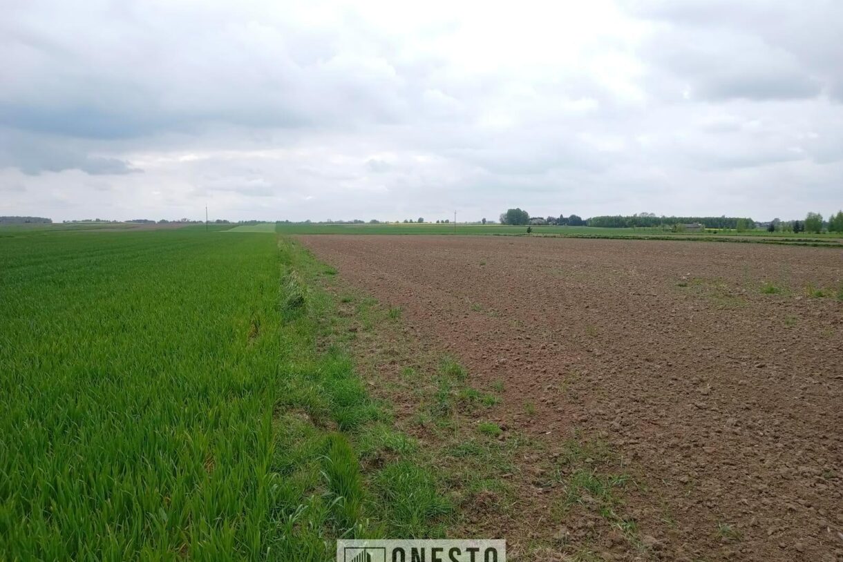 Działka na sprzedaż, Sporniak, 3778m2