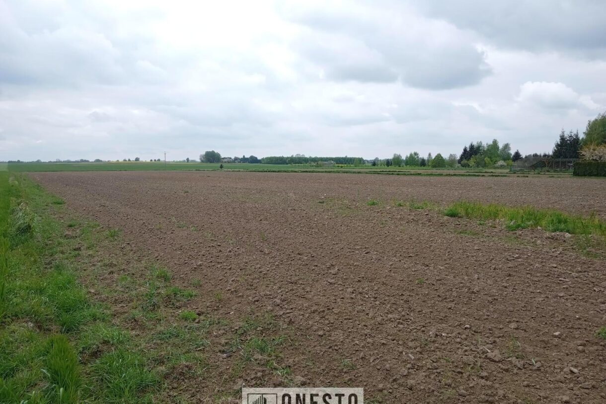 Działka na sprzedaż, Sporniak, 3778m2