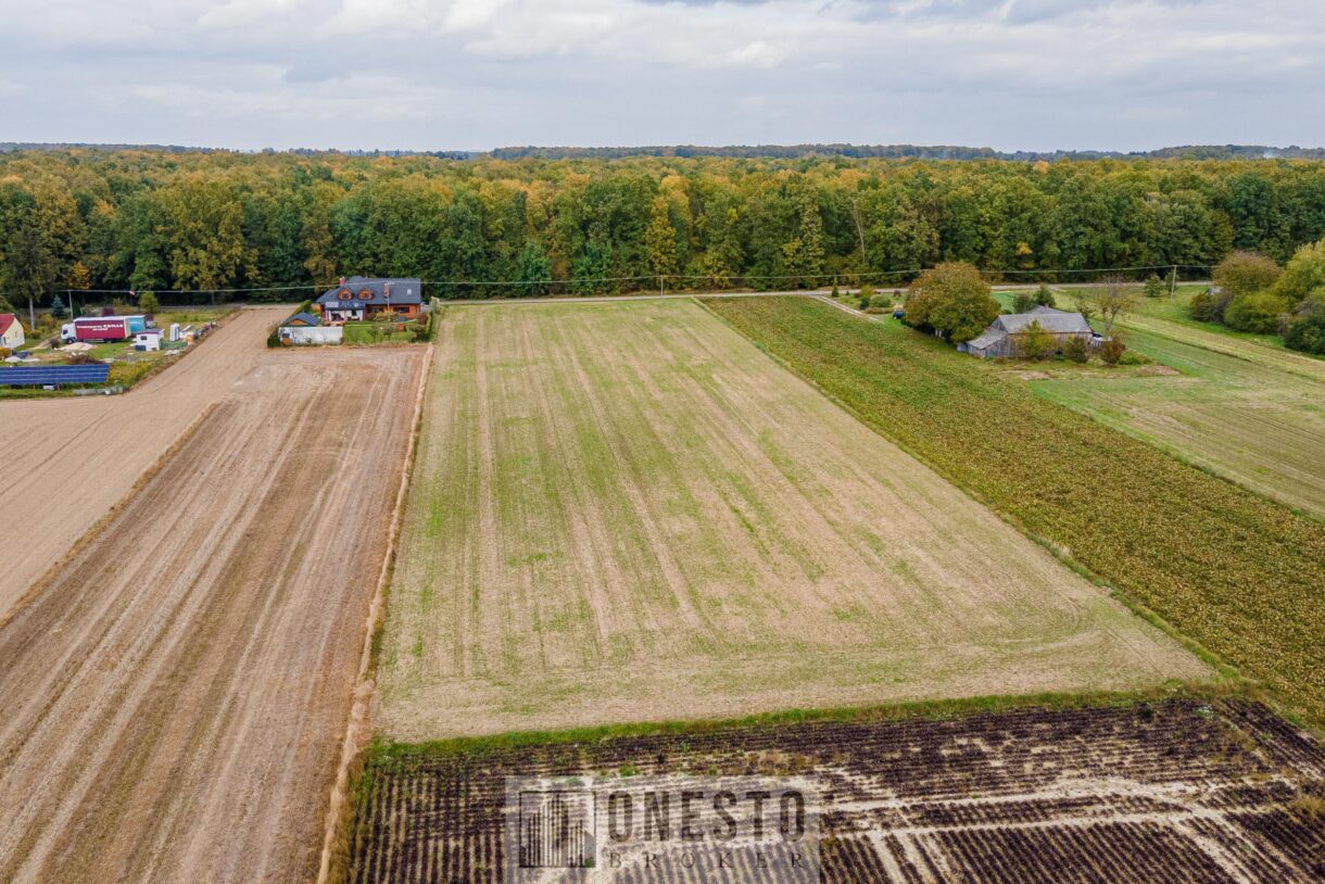 Działka na sprzedaż, Sporniak, 3778m2