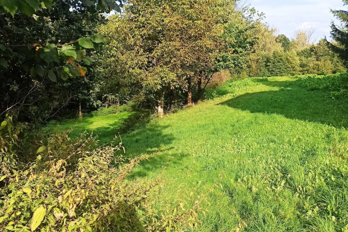 Dom na sprzedaż, Bychawka Druga, 85m2