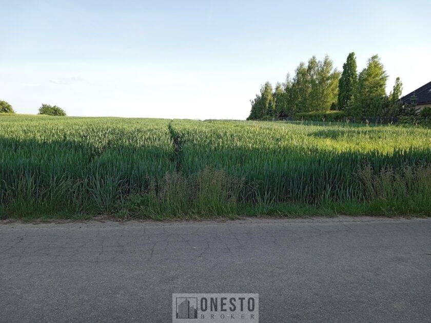 Działka na sprzedaż, Panieńszczyzna, 1804m2