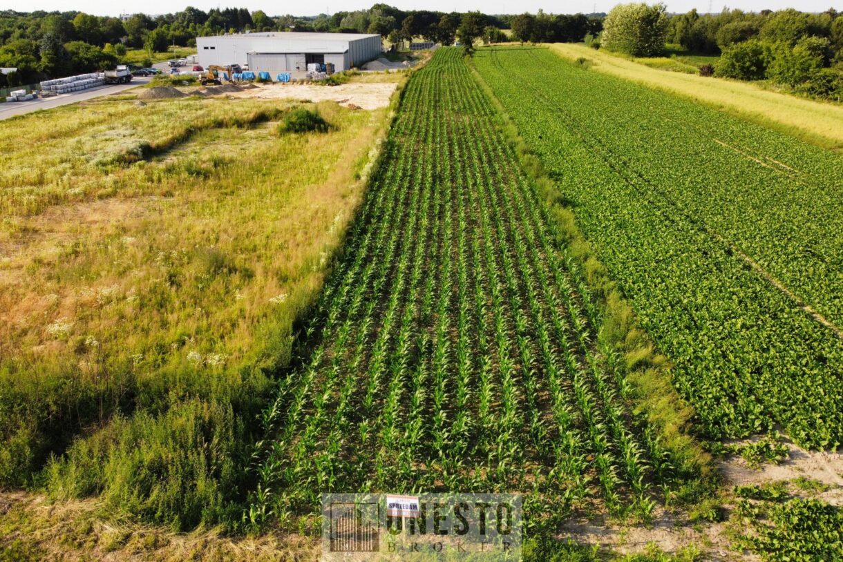 Działka na sprzedaż, Łęczna, 4993m2