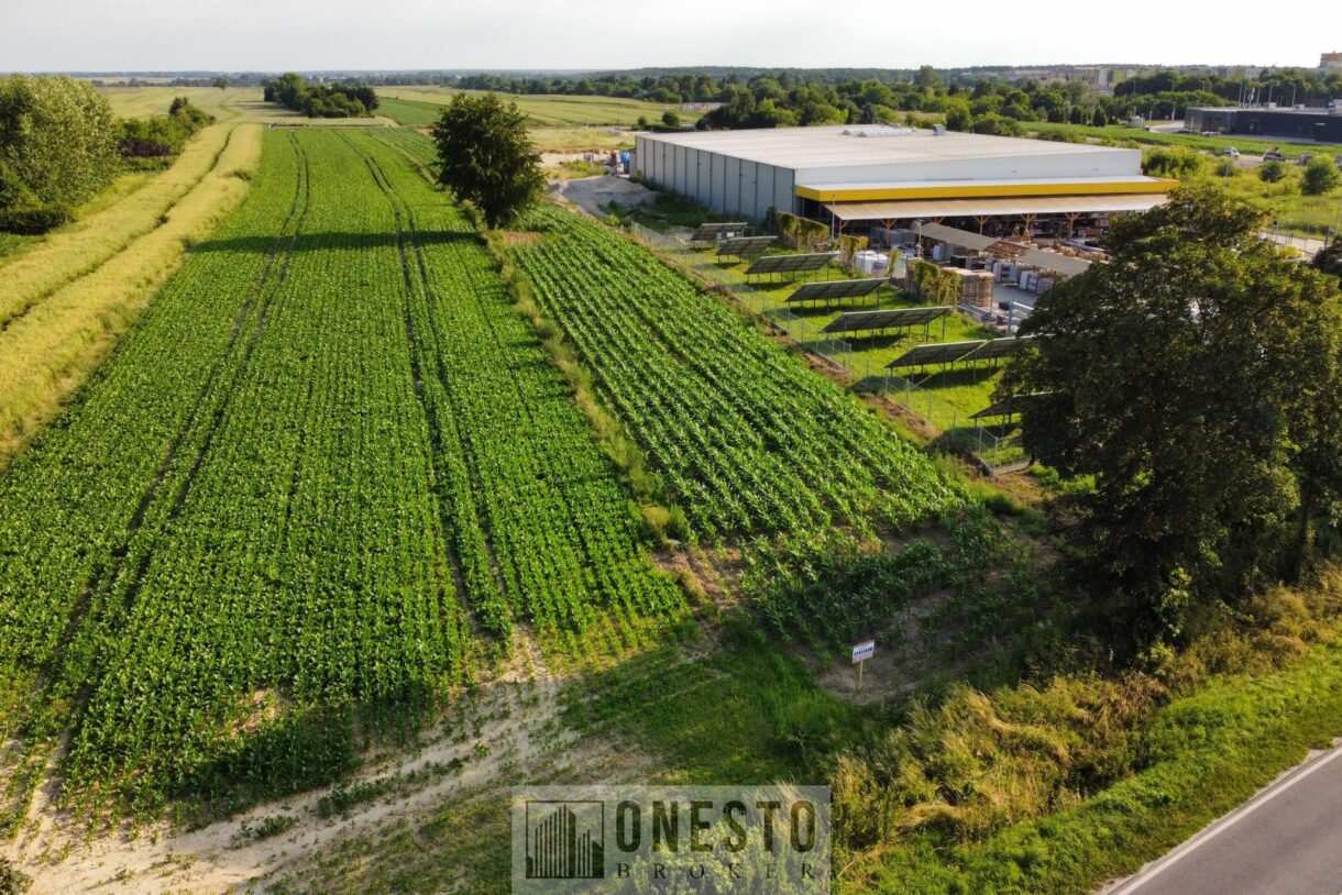 Działka na sprzedaż, Łęczna, 4993m2